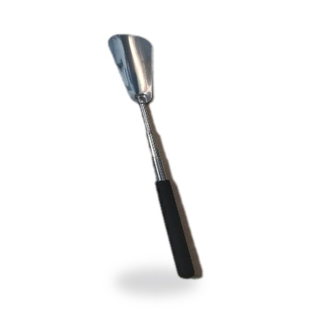 Extendable Shoehorn